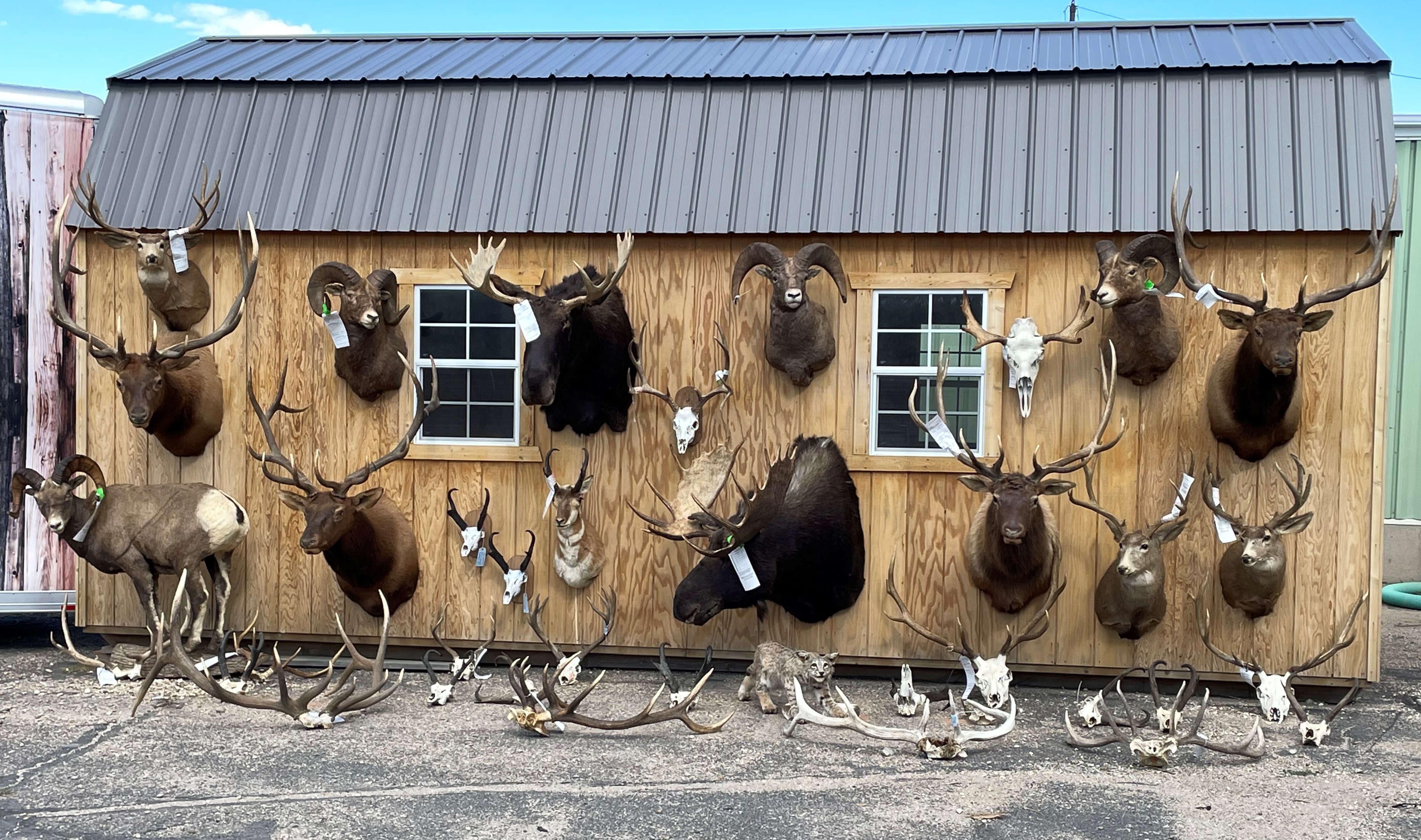 Wyoming Game And Fish Department - Three Men Convicted Of Numerous ...