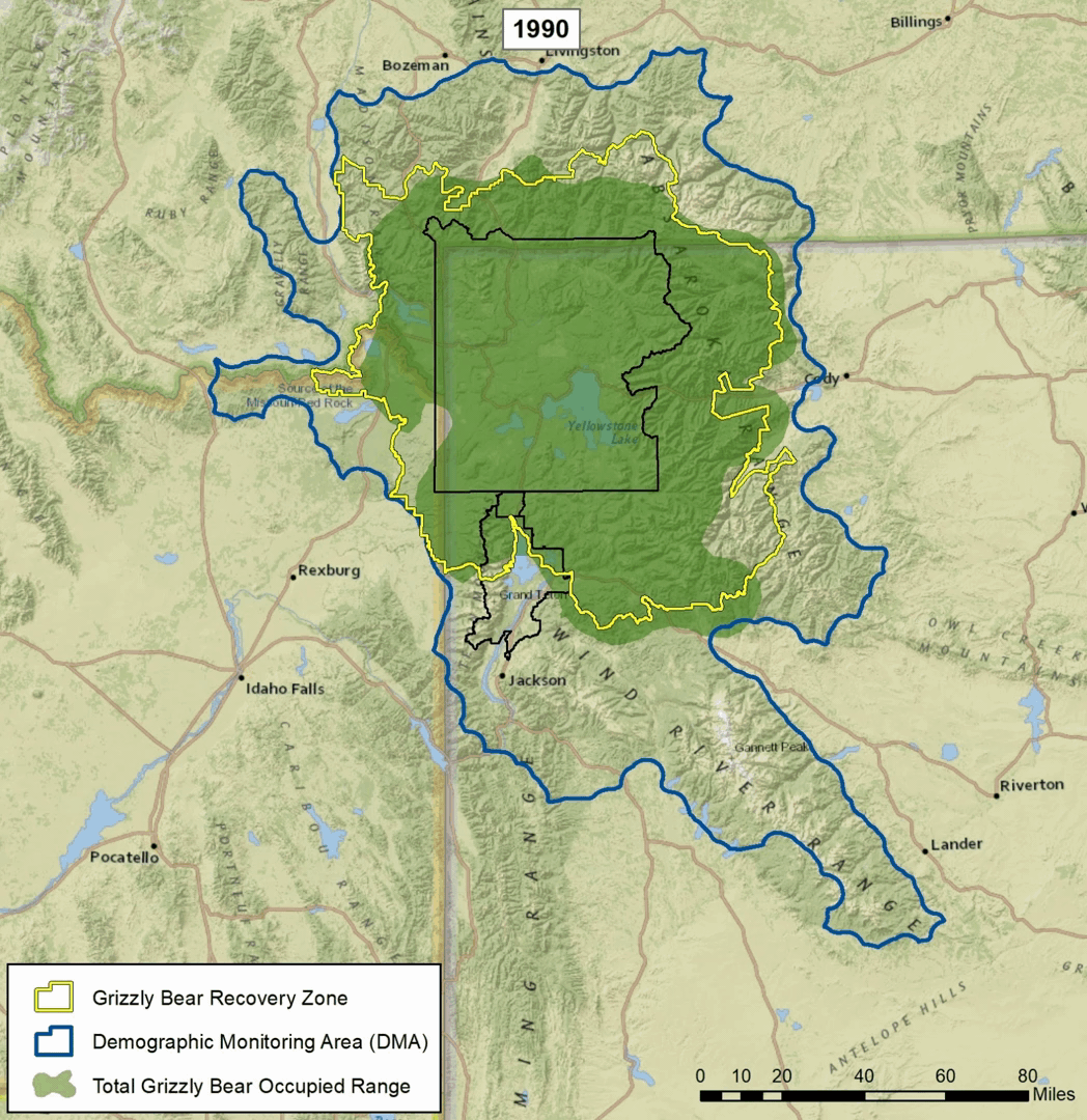 Distribution of Grizzly Bears in Wyoming 