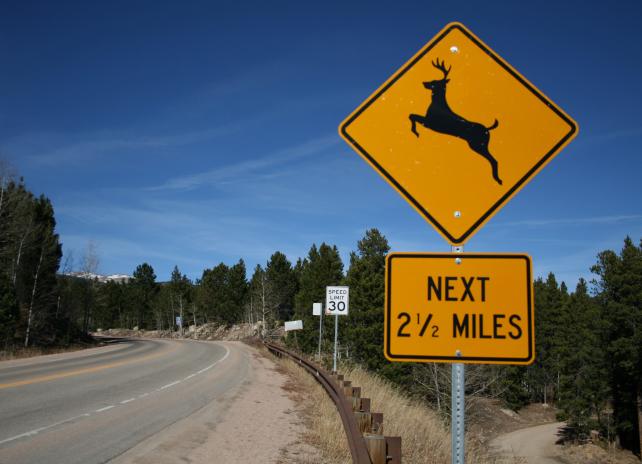 Deer crossing caution sign
