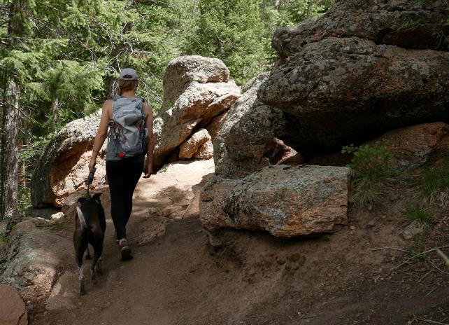 hiking with a dog on trails where trapping may occur