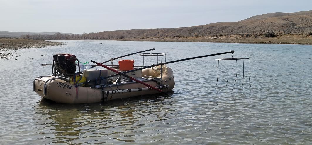 An inflatable raft floats on the Green River outfitted with electrofishing equipment
