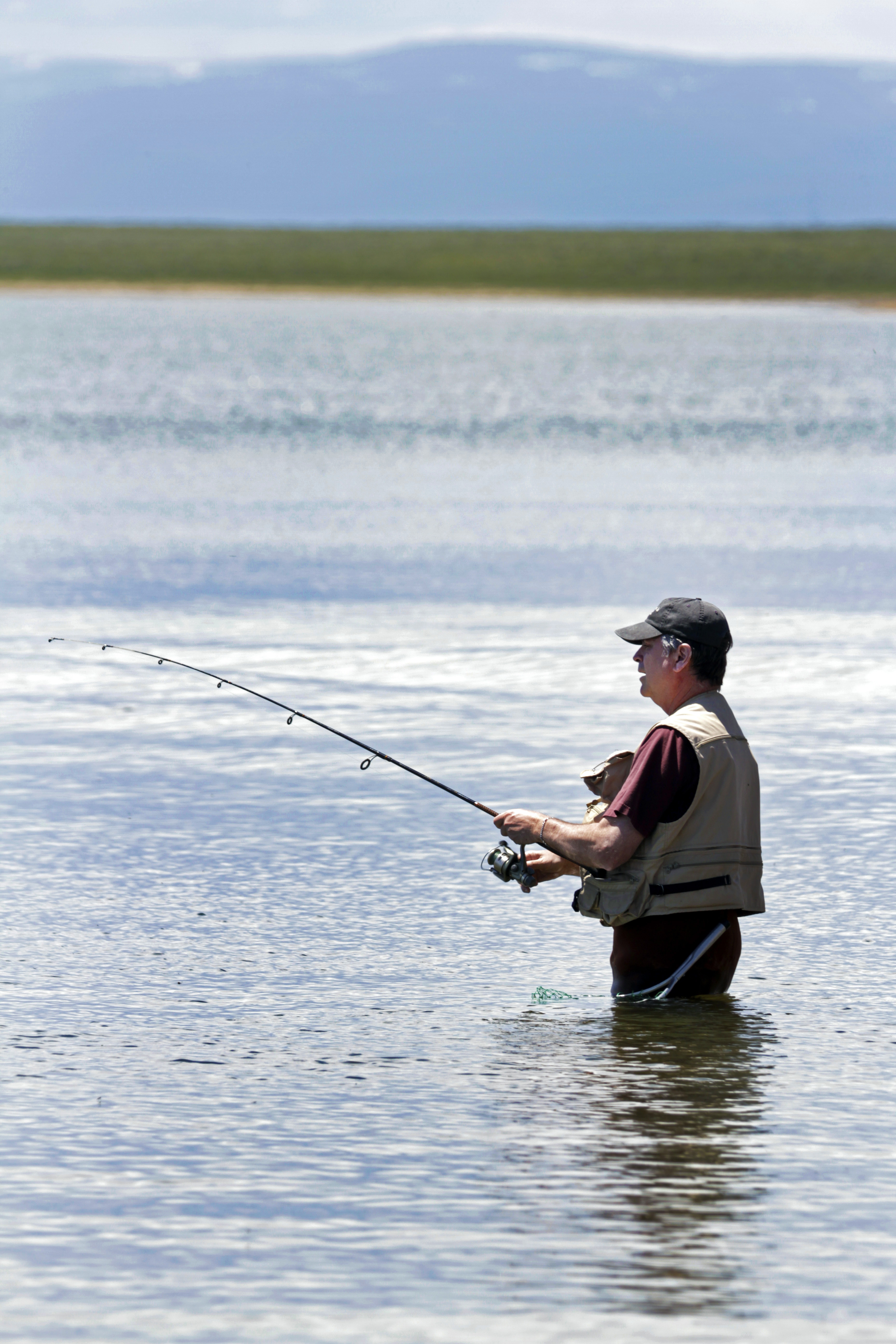 wyoming game and fish license