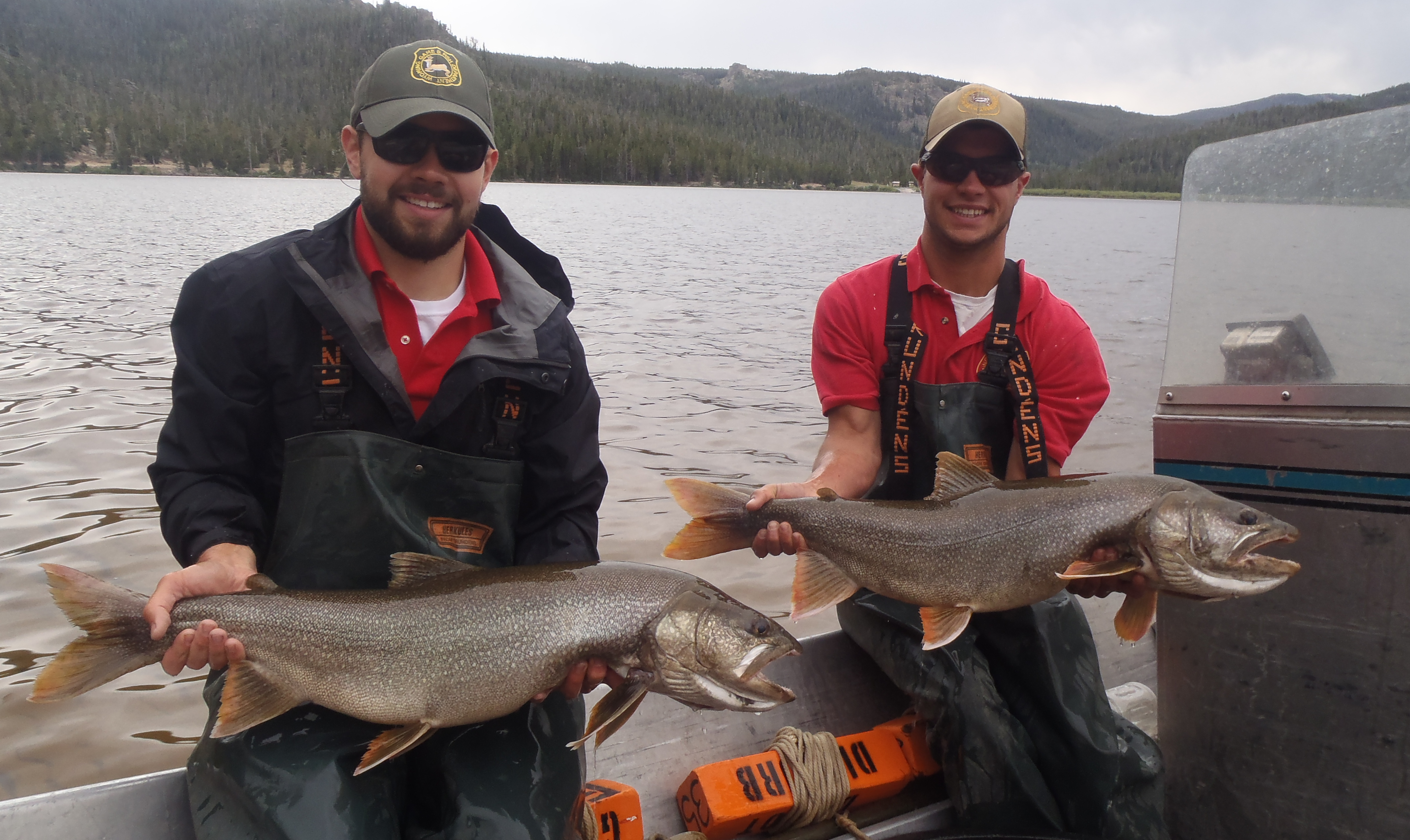 Wyoming Game and Fish Department - Trophy lake trout now near Lander