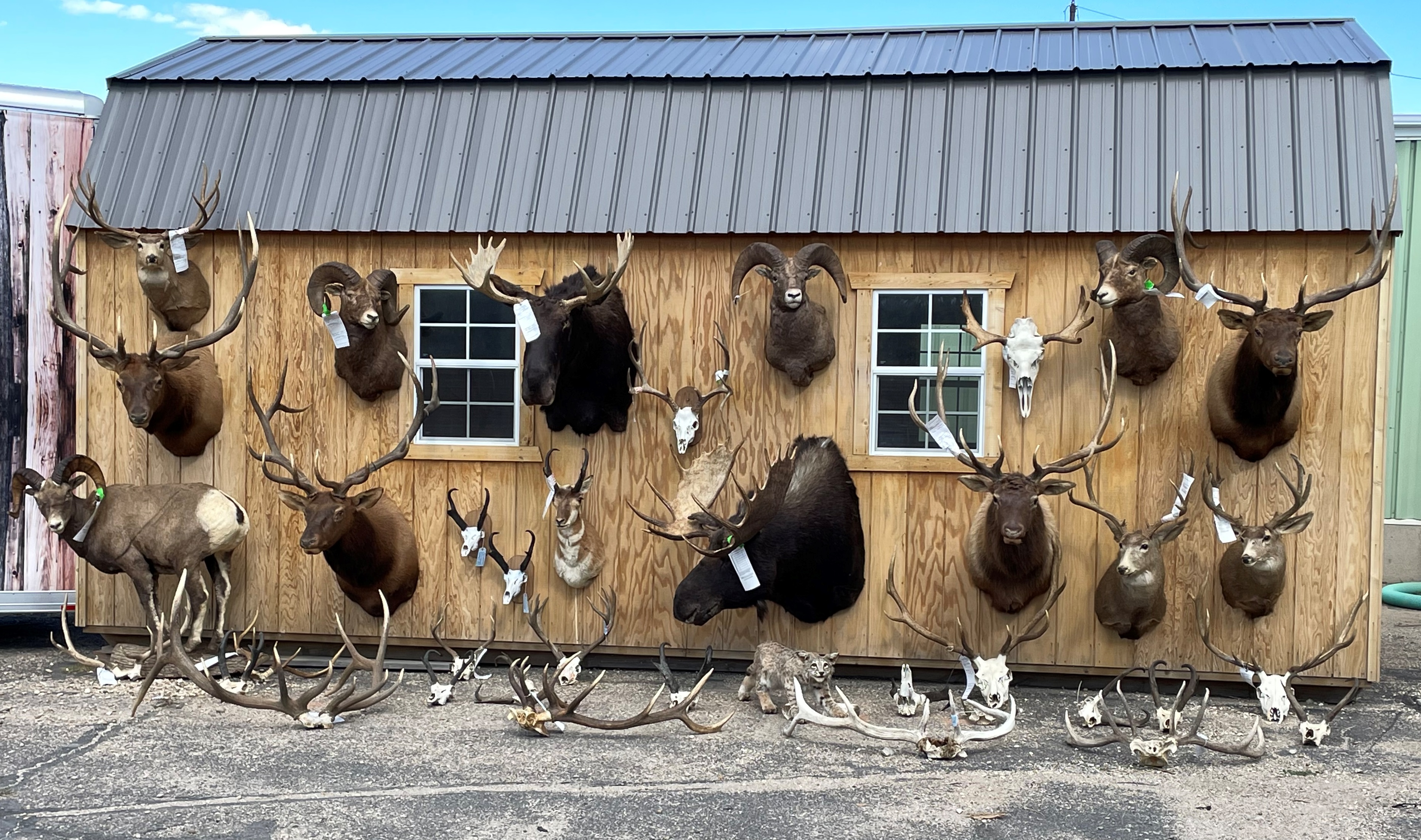 Wyoming Game and Fish Department - Three men convicted of numerous charges  in one of the largest poaching cases in Wyoming history