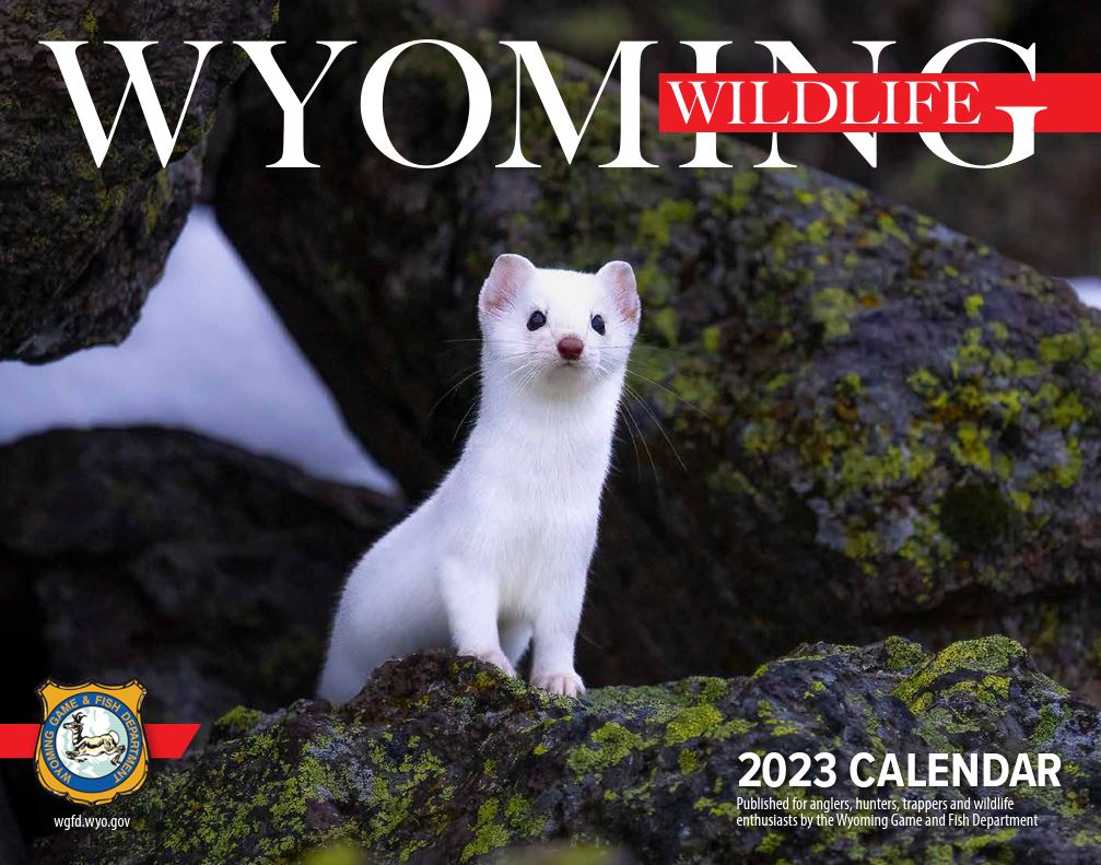 Wyoming Game and Fish Department - 2023 Wyoming Wildlife calendar now