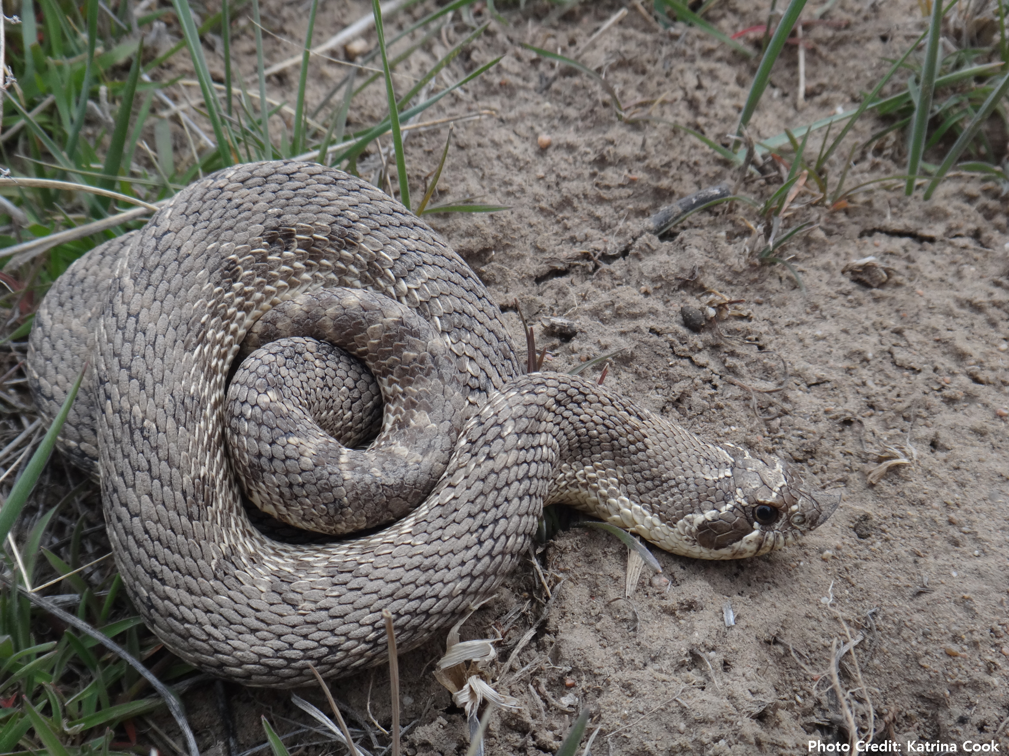 wyoming game and fish department state of wyoming