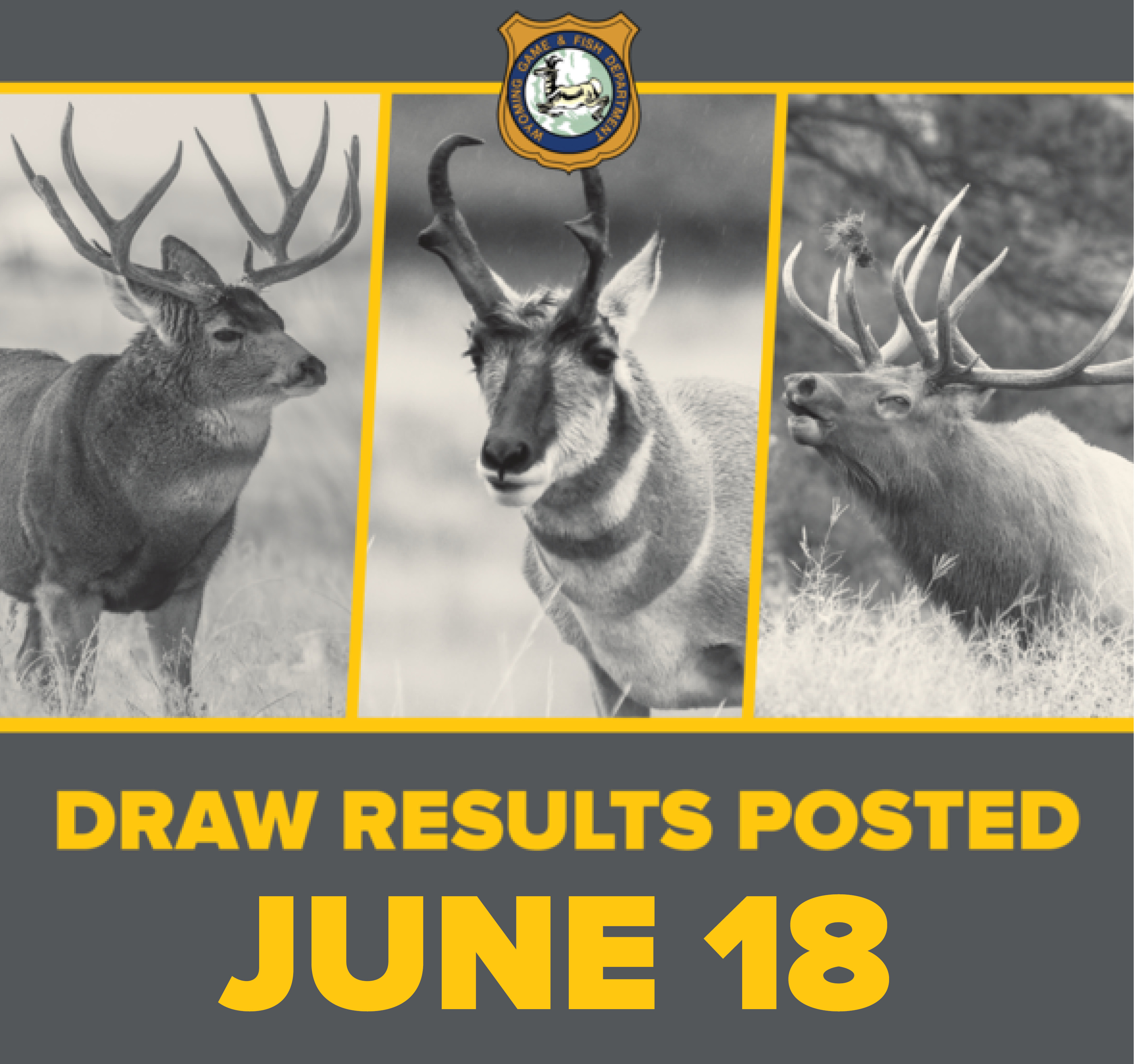 wyoming game and fish hunting draw results