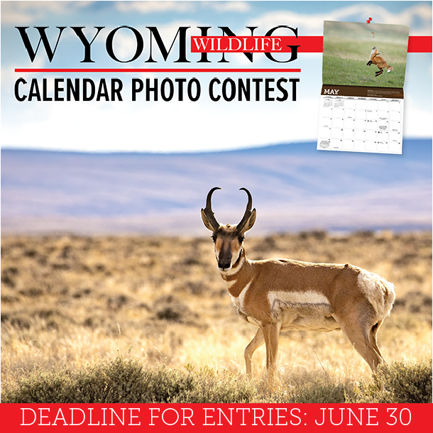 Wyoming Game and Fish Department Wyoming Wildlife Calendar Photo
