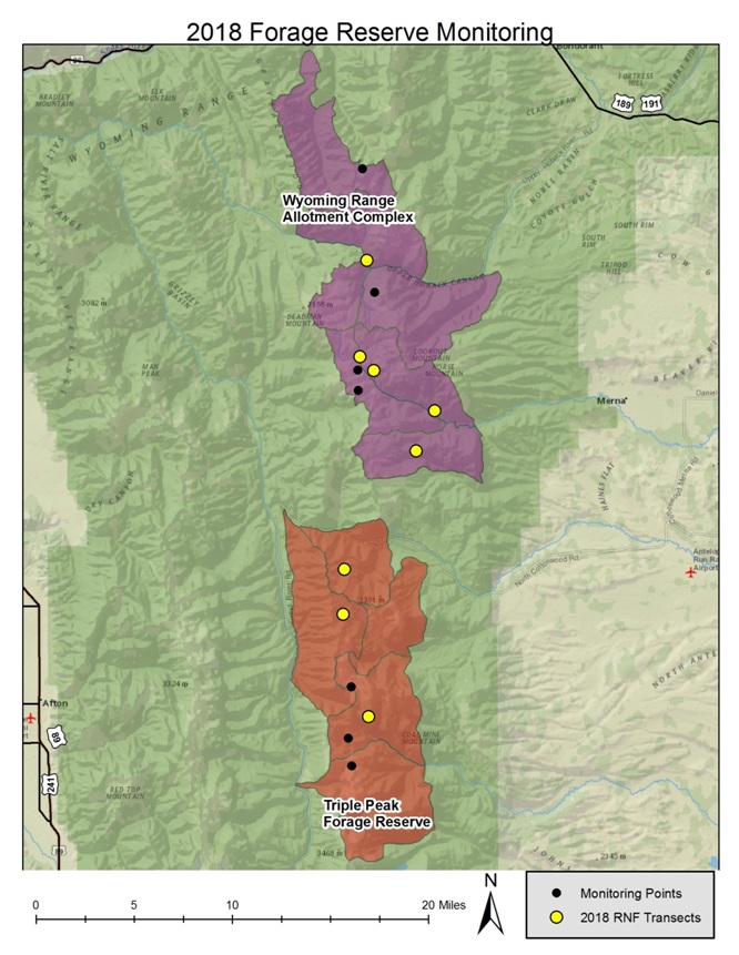 Wyoming Game and Fish Department Tall Forb Monitoring in the Wyoming