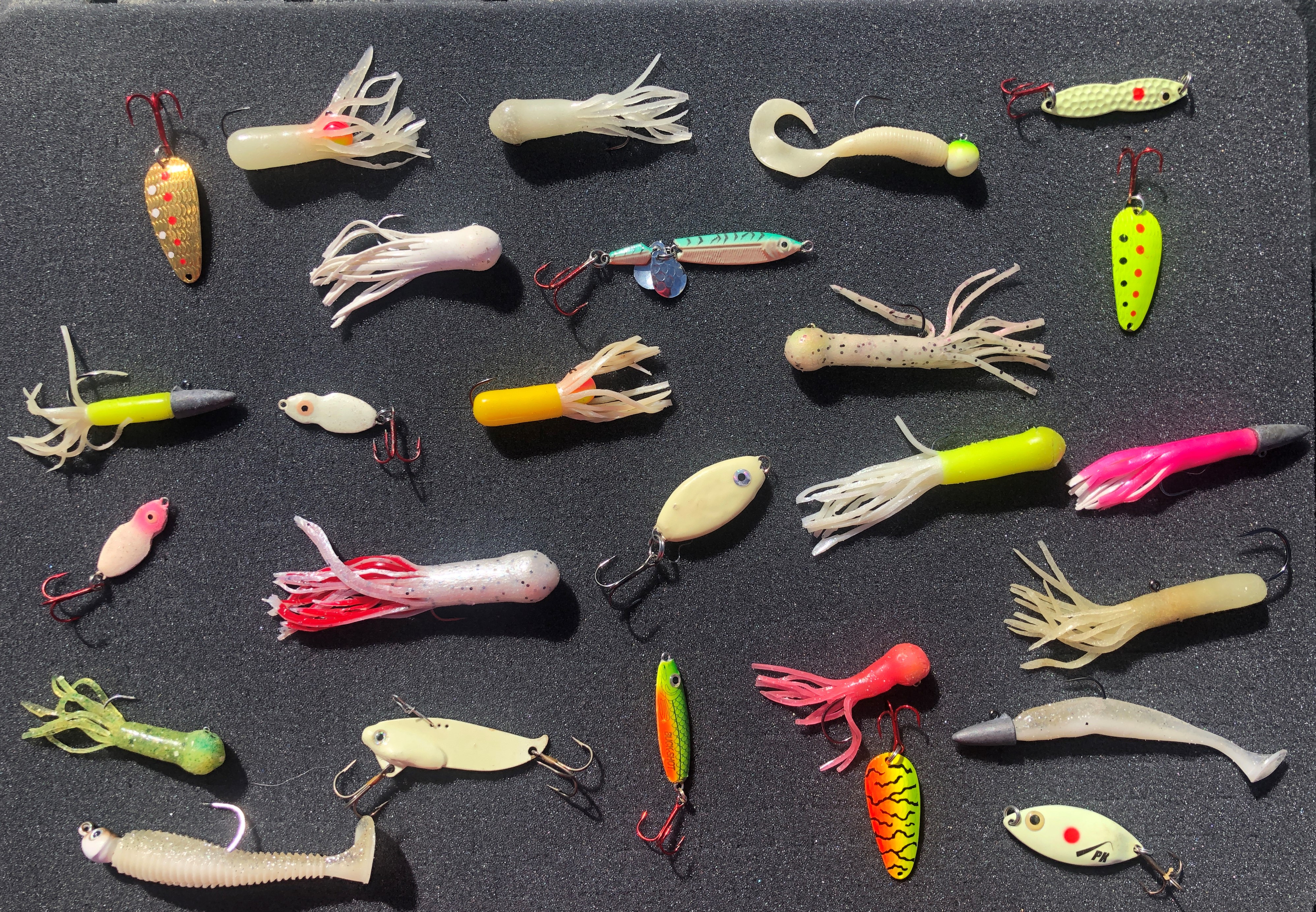 Trout bait deals