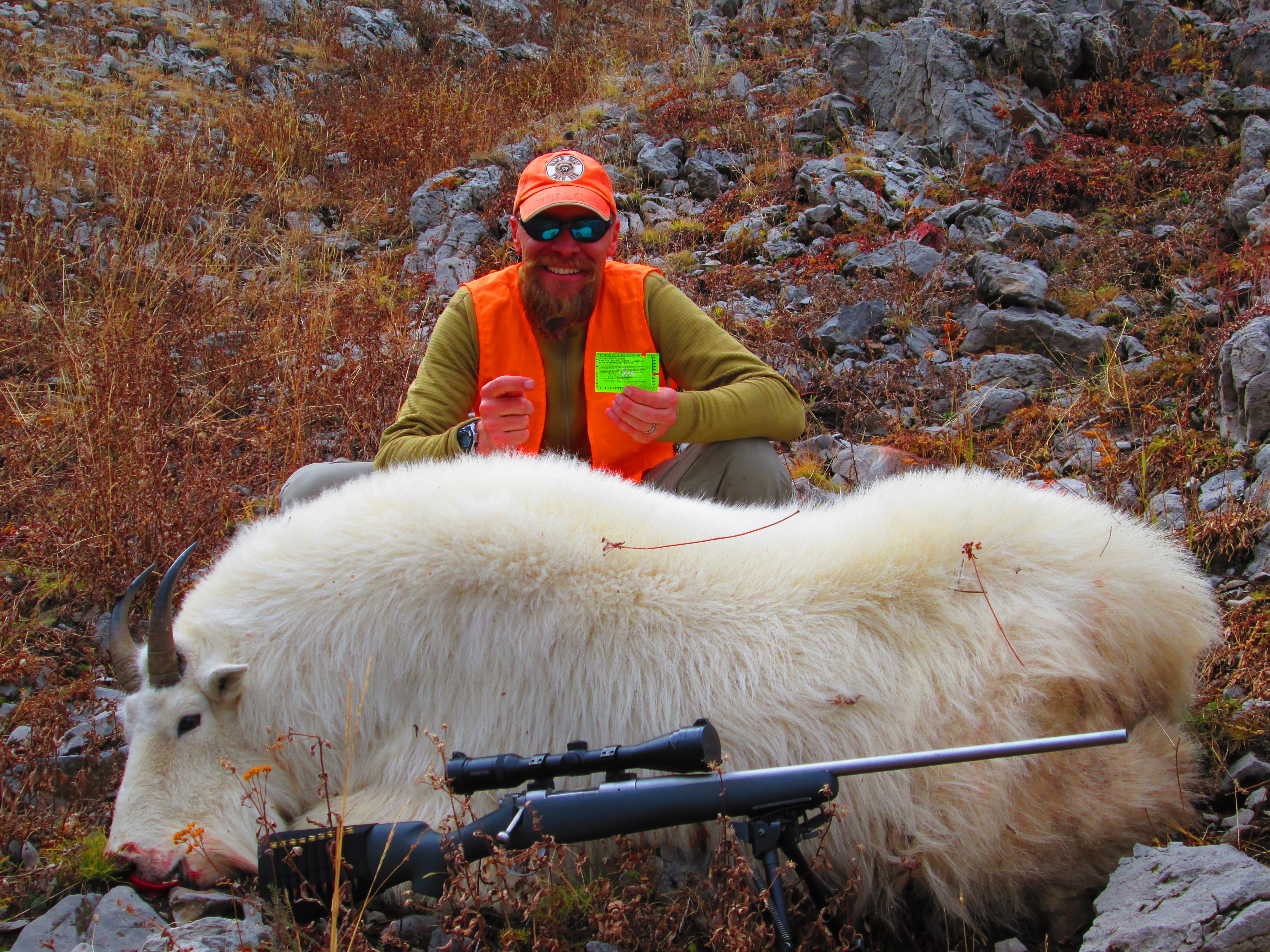 Wyoming Game And Fish Department Rock Springs Hunter Takes Second Largest Mountain Goat Ever Harvested In Wyoming