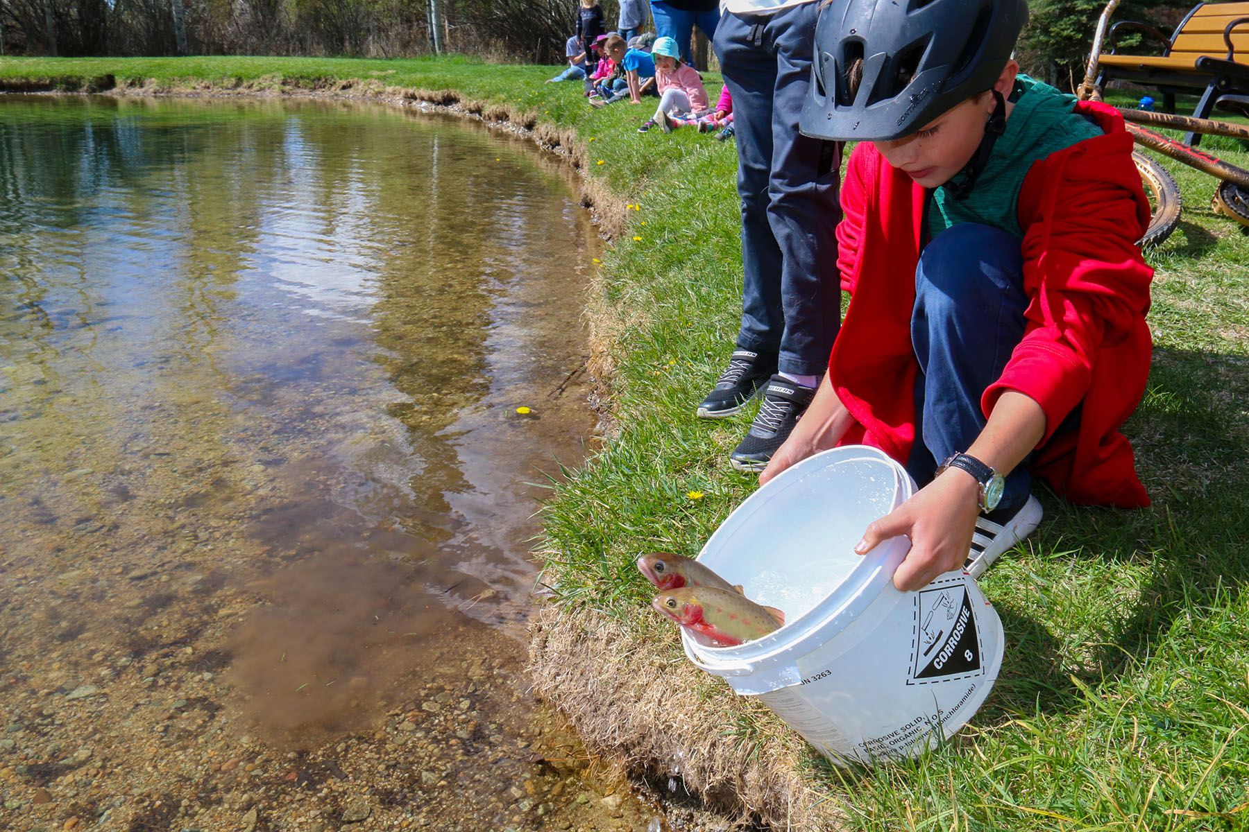 Fish Stocked At Pinedale Kid's Pond | Wyoming Game & Fish Department