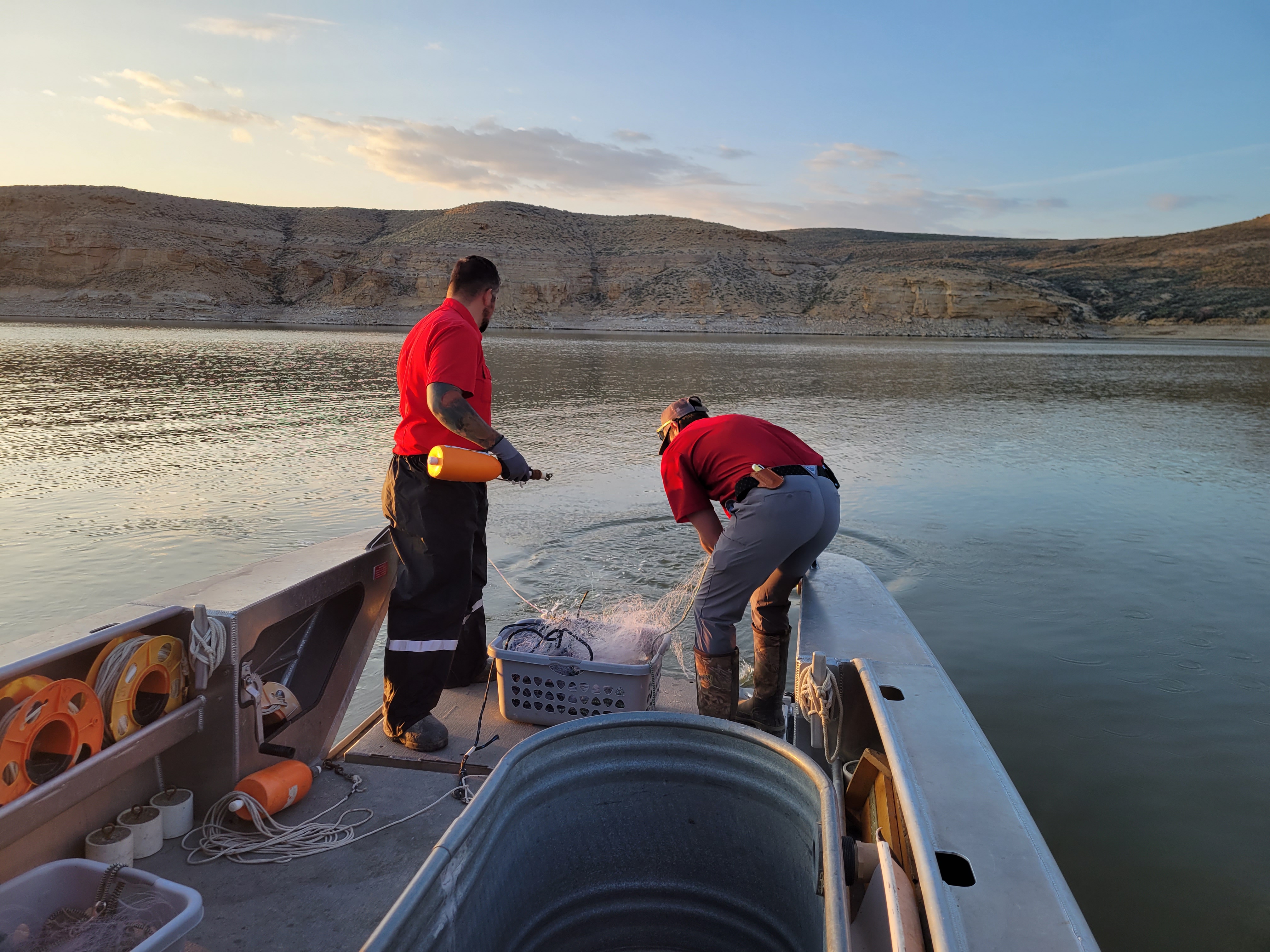 Wyoming Game and Fish Department - Managing the fishery at Flaming