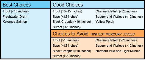 A table listing consumption advice for Wyoming-caught fish showing best choices, good choices and choices to avoid.