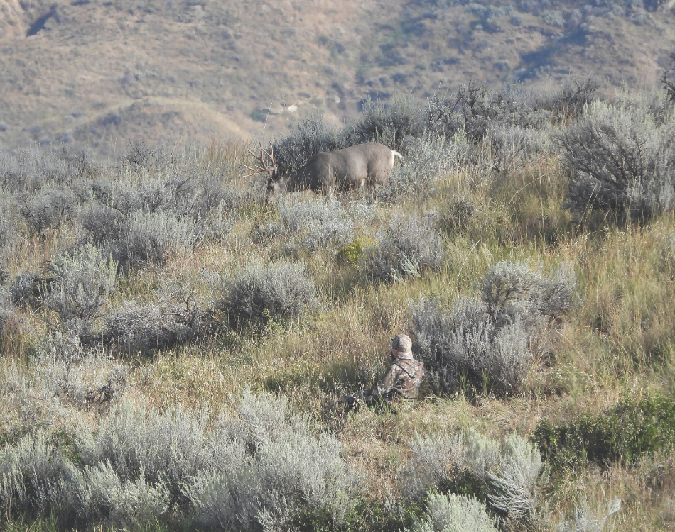 An archery hunter sits looking toward a nearby mule deer on a ridge. 