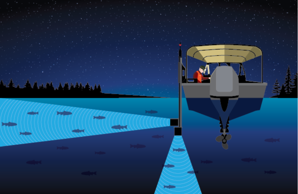 Two transducers in a hydroacoustic survey illustration send sound waves into the water. One transducer points down and the other to the side with fish in the beams. 