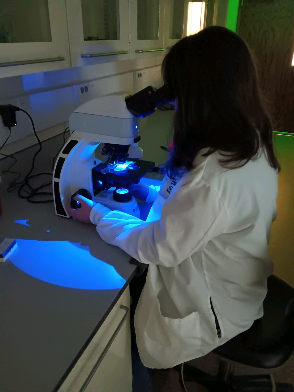 A laboratory scientist examines a slide under a microscope for possible fish pathogens.