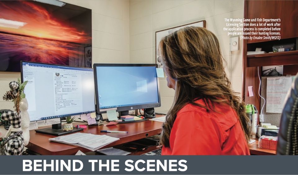 A Fiscal Division Employee looking at two computer screens in an office.