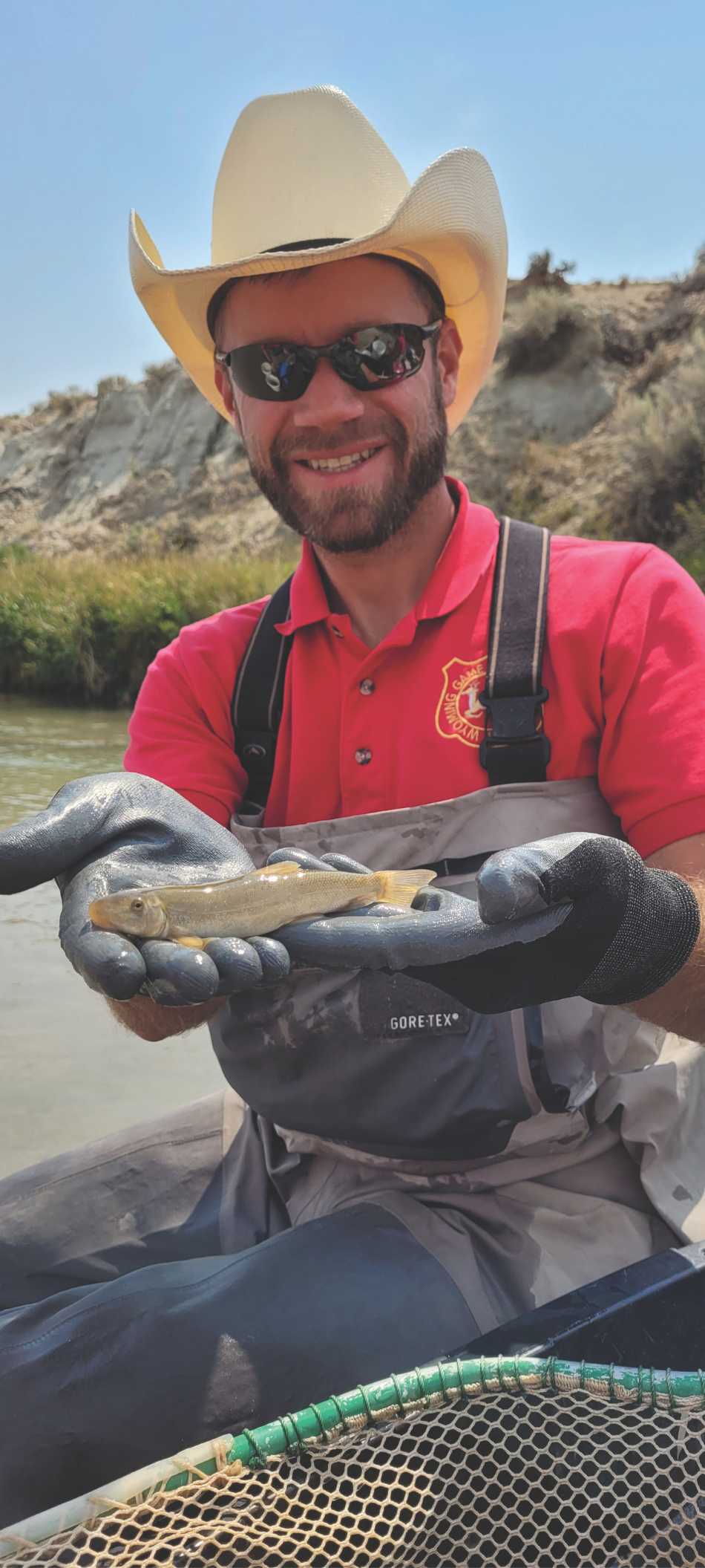 John Walrath, Game and Fish fisheries biologist, holds a bluehead sucker during salvage operations in the Big Sandy watershed.