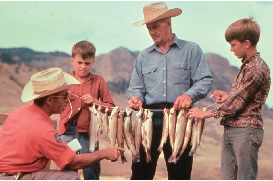 A Game and Fish Game Warden checking a string of fish.
