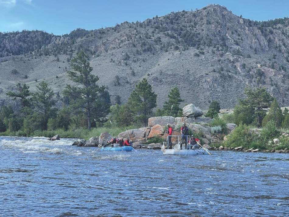 Game and Fish Fisheries management personnel use raft-based electrofishing to monitor trout populations in shallow, high-gradient systems like the Miracle Mile.