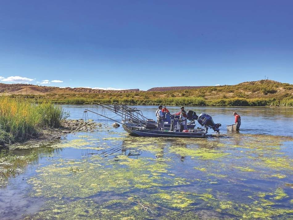 Jet boat electrofishing is used to sample lower-elevation sections of the North Platte River such as Gray Reef.