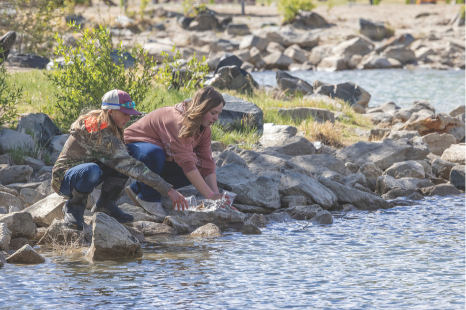 Two Trout in the Classroom program participants release the trout they raised in the Sweetwater Kids' Pond in James Town in southwest Wyoming