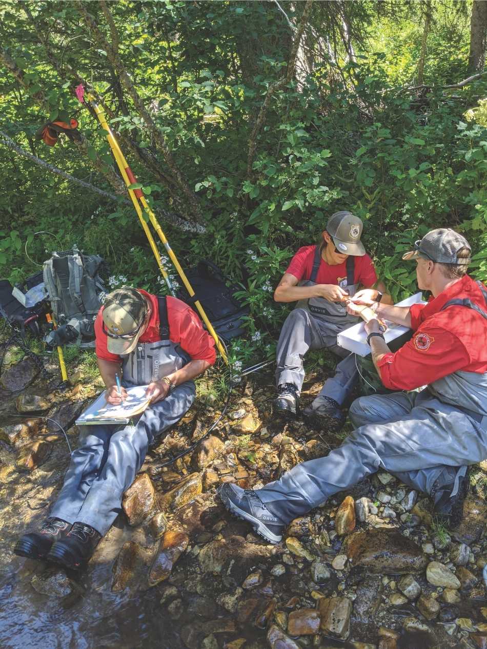 Game and Fish personnel record data from genetic sampling of Yellowstone cutthroat trout.