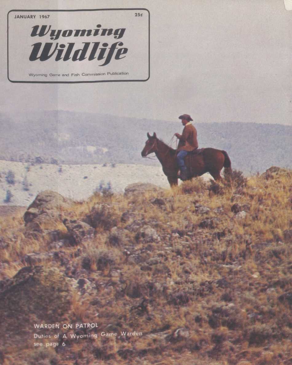 The January 1967 cover of Wyoming Wildlife featuring a photo of a warden on horseback on patrol.