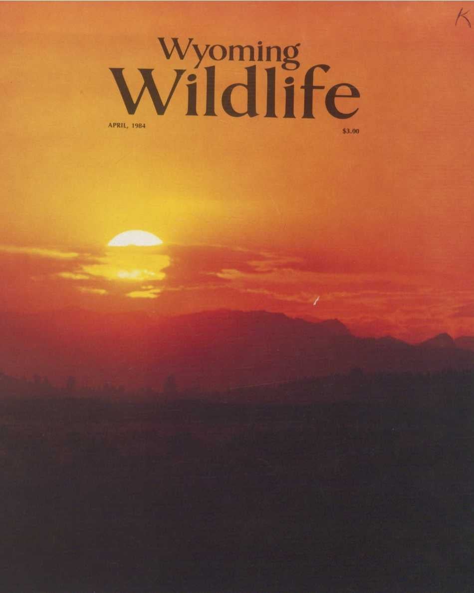 The April 1984 cover of Wyoming Wildlife magazine featuring a full color photo of a sunset.