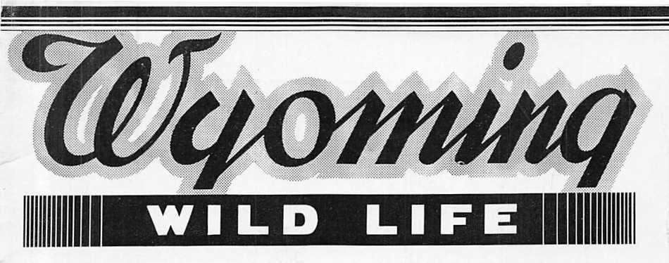 The name plate in January 1944 showing "Wyoming Wild Life." 