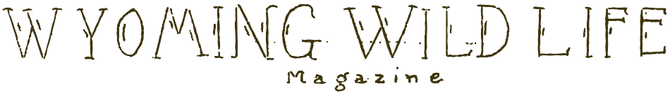 The original sketched name plate for, "WYOMING WILD LIFE Magazine" 