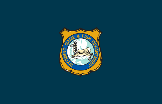 Shield on formal blue