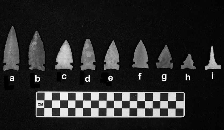 Early Plains Archaic projectile point series illustrating blade resharpening and point recycling into nonhunting implements.