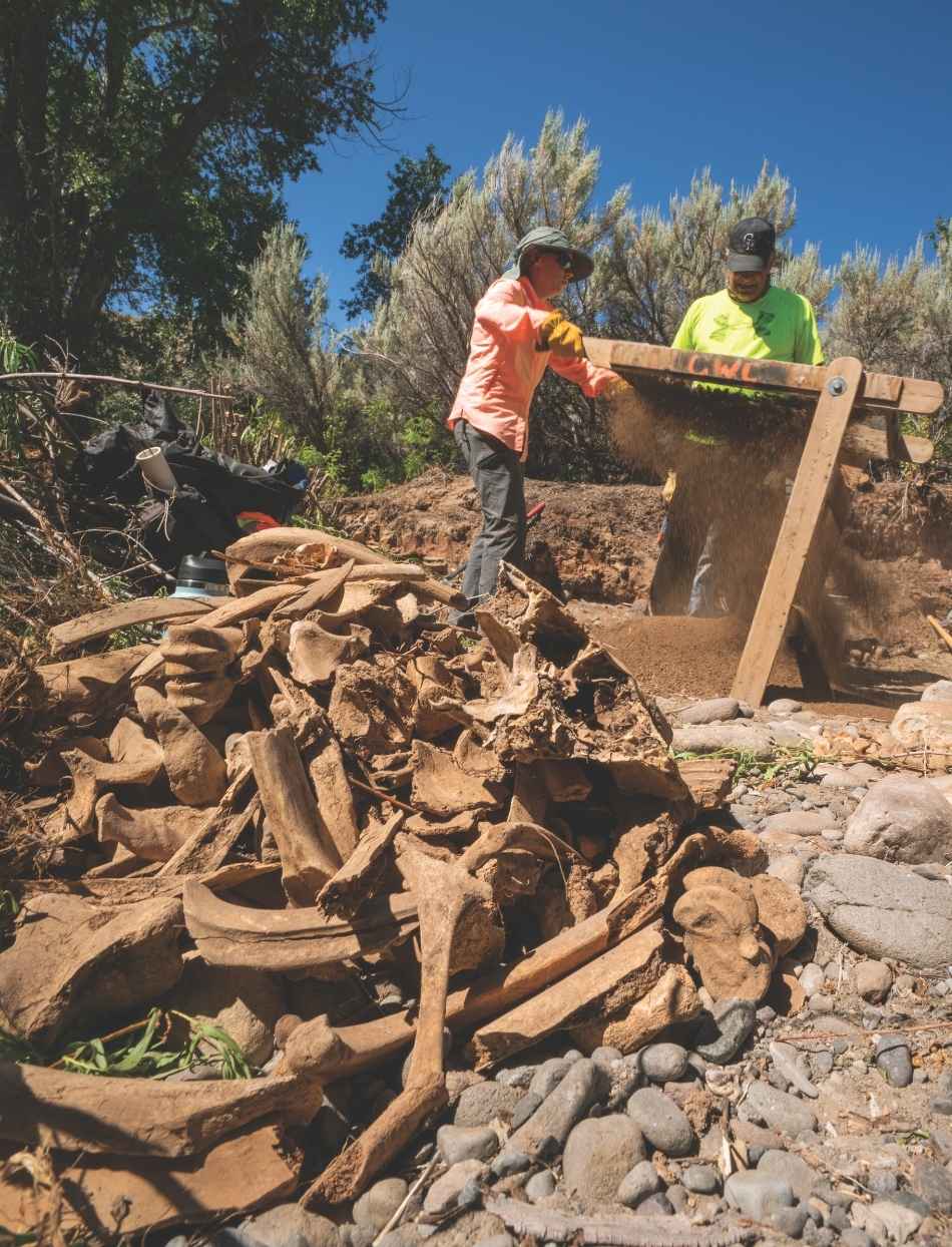 Members of the Central Wyoming College archaeology field school sift through excavated soil to recover bison remains and stone tools at the Wiggins Fork Bison Jumps Complex near Dubois.