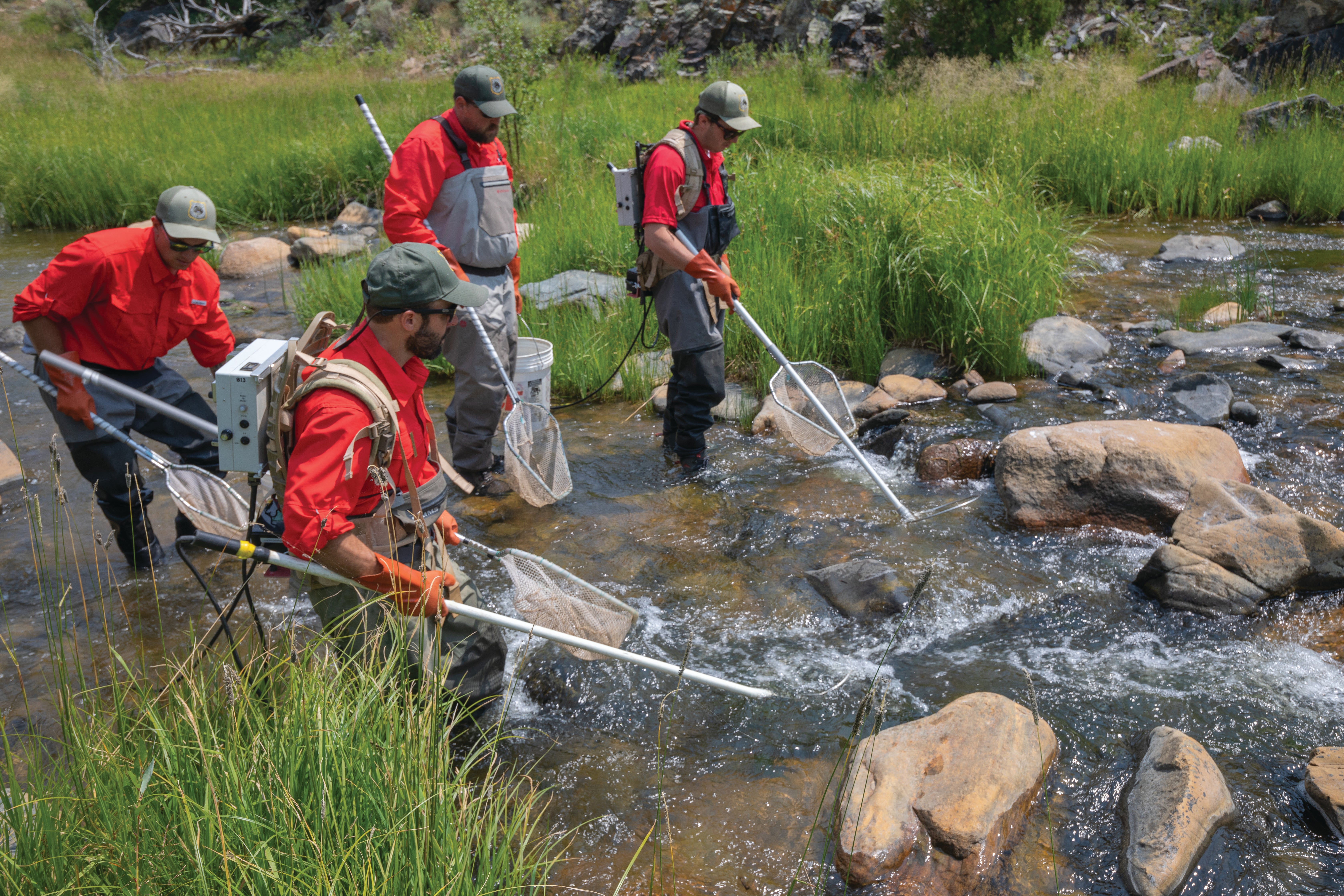 Wyoming Game and Fish Department personnel electrofish for hornyhead chub and other small-bodied fish in the Laramie River.