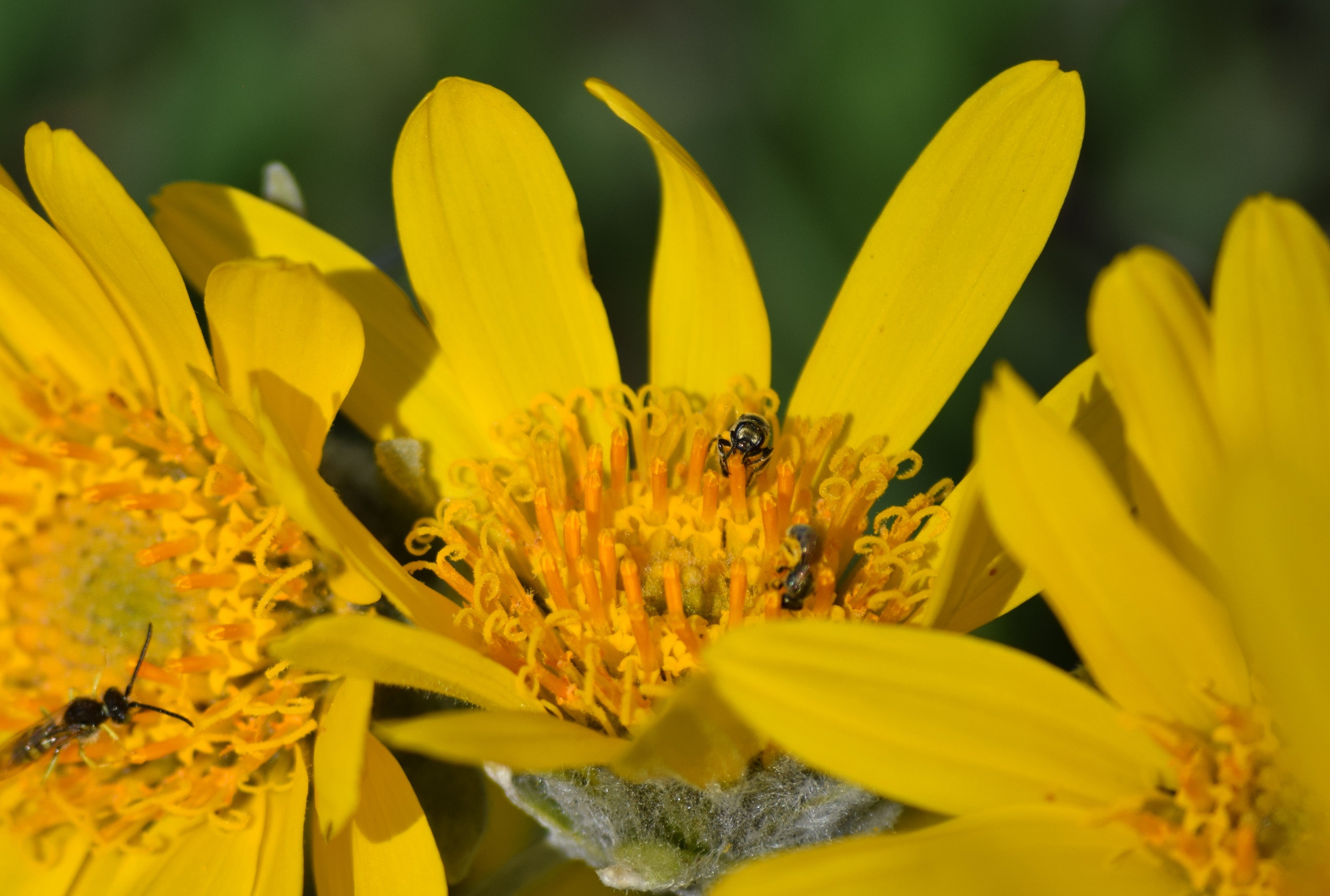 PhilipDamm_DSC_0868