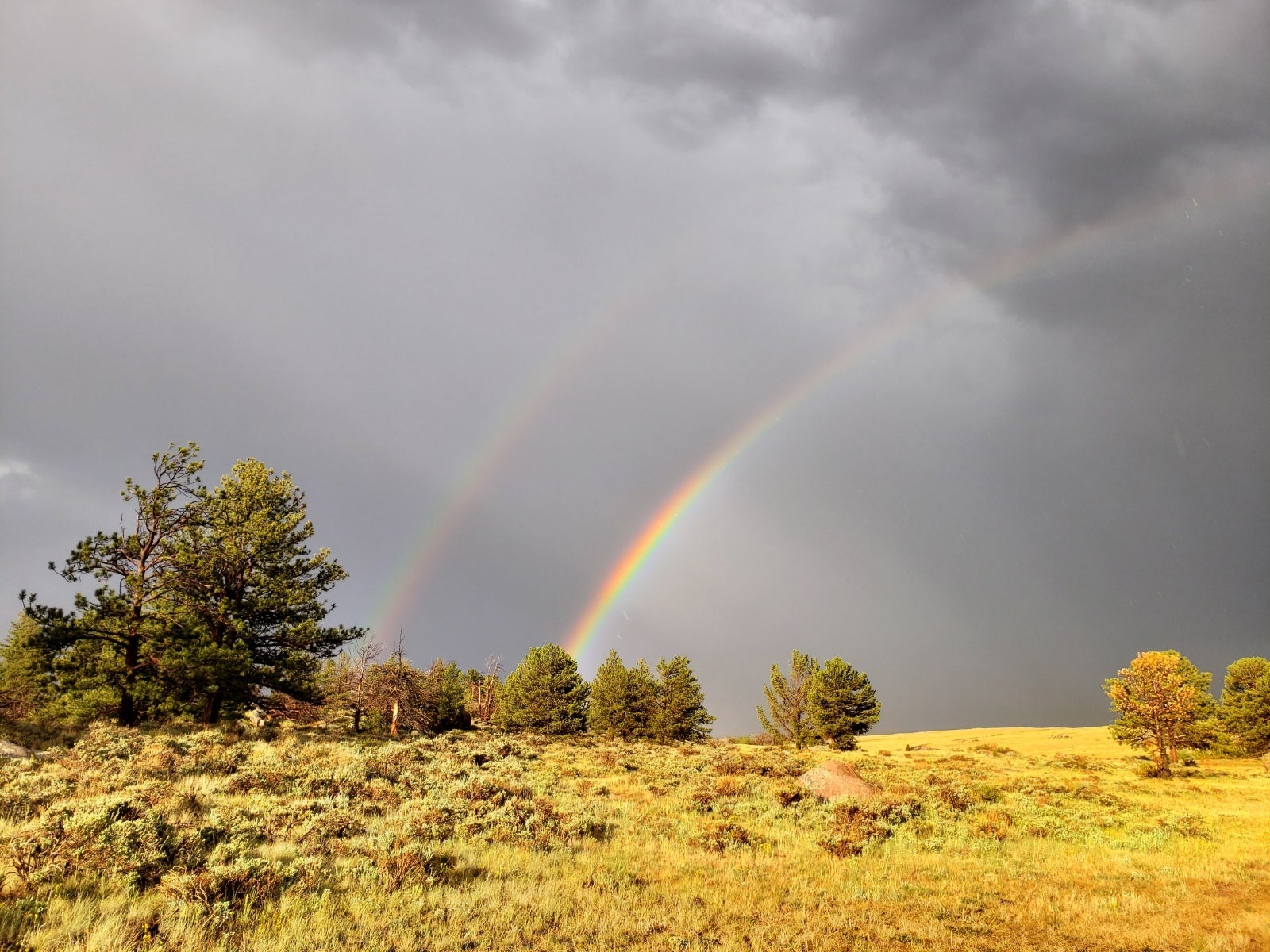 RobertG -- Double Rainbow