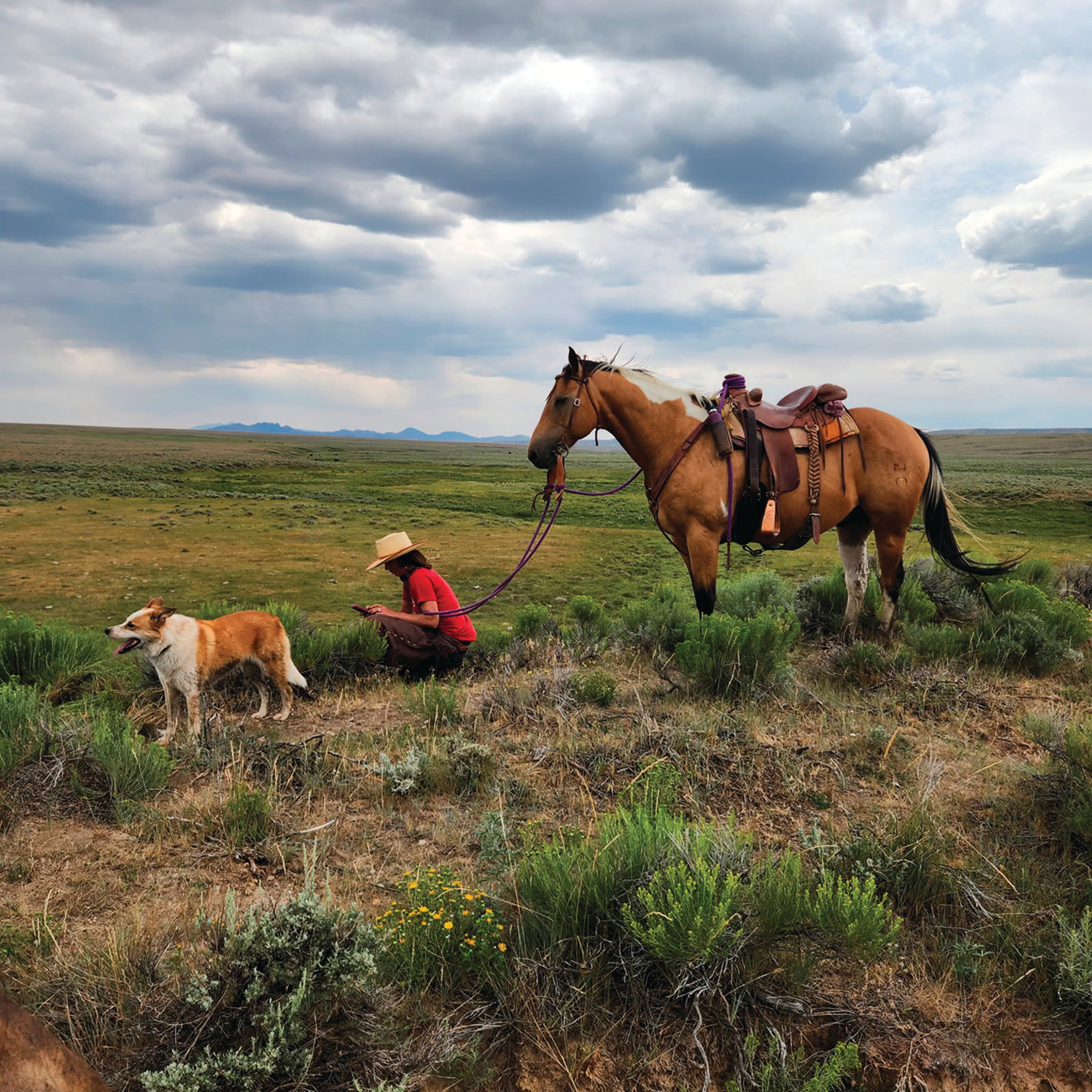 Willow Bish, Casper Region terrestrial habitat biologist, works on cheatgrass mapping in the Shirley Basin.