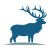 Competition icon