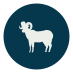 Bighorn Sheep Icon