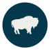 Wild Bison Icon