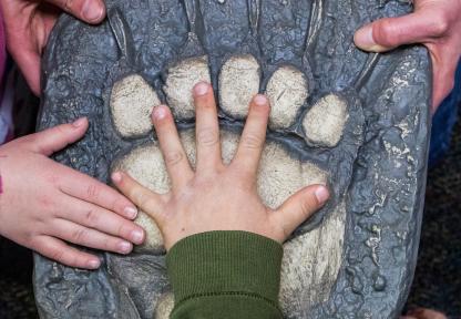 A student with a hand over a bear track