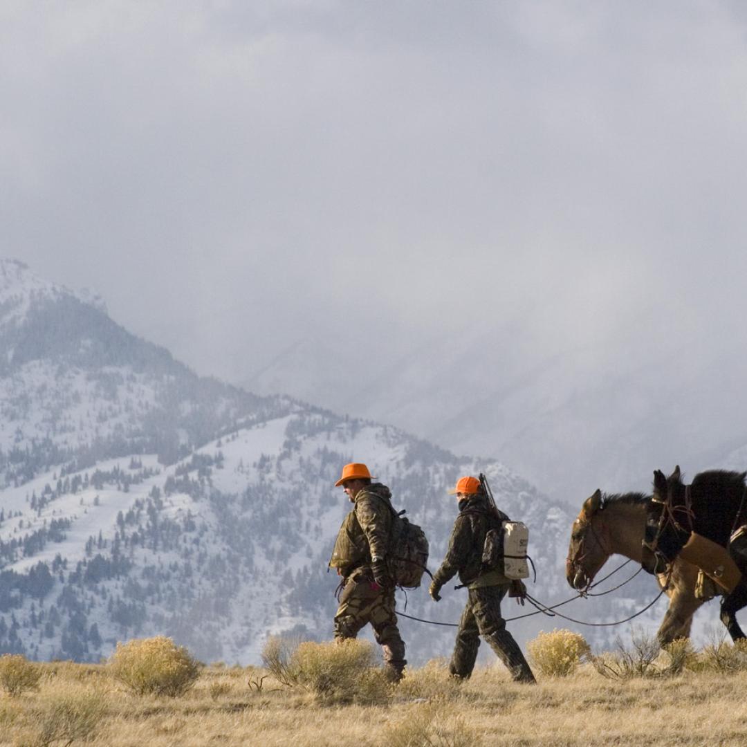 hunters leading pack horses