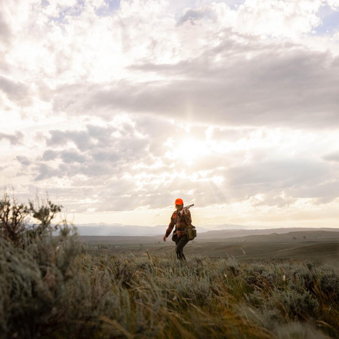 Grouse Hunting