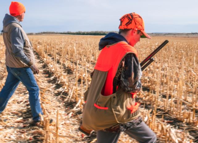 A youth hunter is accompanied by a mentor on a pheasant hunt at Springer Wildlife Habitat Management Area.