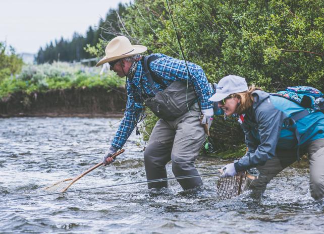 A woman fly fishing in a creek reels in a fish while a man helps net the fish.