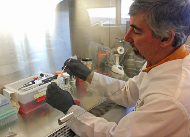 A man places a swab with a sample in a vial