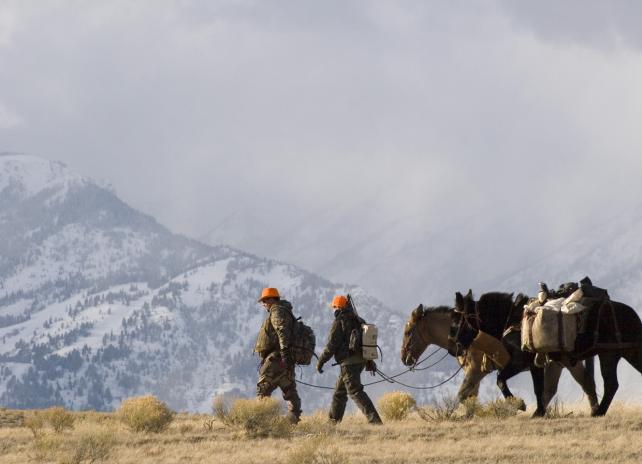 hunters leading pack horses