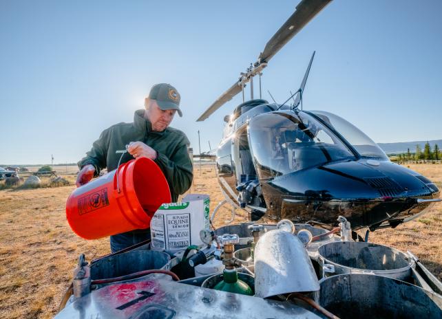 A Game and Fish employee loads fish into a tank to be stocked via helicopter into Wyoming's alpine lakes. 